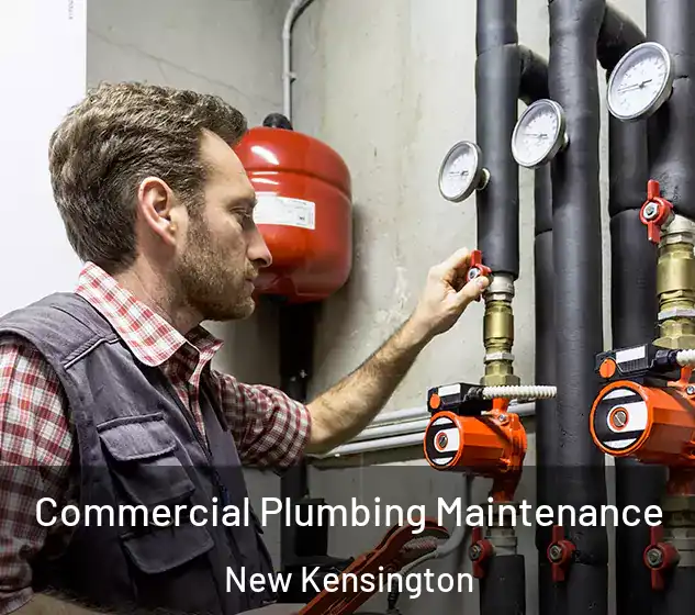  Commercial Plumbing Maintenance New Kensington