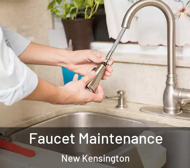  Faucet Maintenance New Kensington