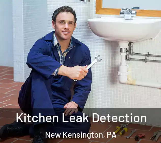  Kitchen Leak Detection New Kensington, PA