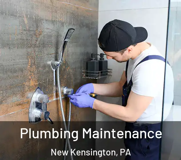  Plumbing Maintenance New Kensington, PA