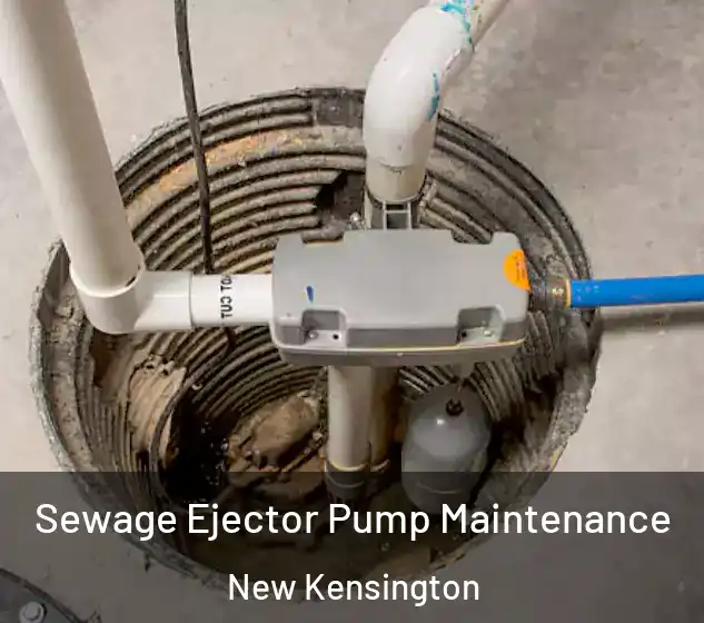 Sewage Ejector Pump Maintenance New Kensington