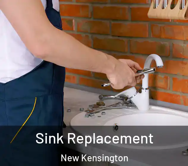  Sink Replacement New Kensington
