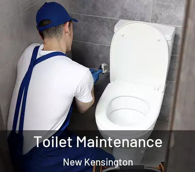  Toilet Maintenance New Kensington
