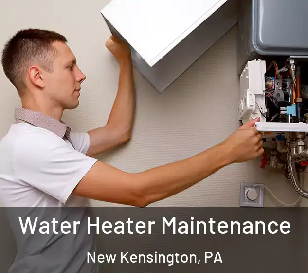  Water Heater Maintenance New Kensington, PA