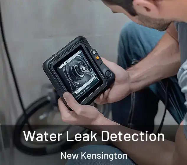  Water Leak Detection New Kensington