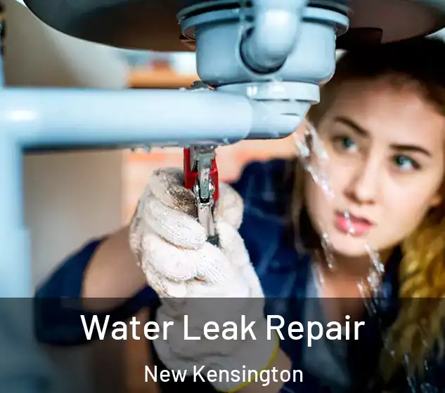  Water Leak Repair New Kensington